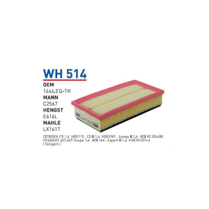 Wh514 Oem 1444.EQ-TK Fiat scudo II Otomobil hava filtre air filter