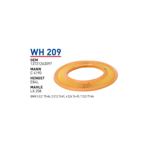 Wh209 Oem 13721263097 BMW E21 3 SERIE-E12 5 SERIE-E23 7 SERIE M30 Otomobil hava filtre air filter