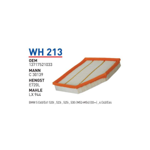 Wh213 Oem 13717521033 BMW E60-E61 5 SERiE S50 Otomobil hava filtre air filter