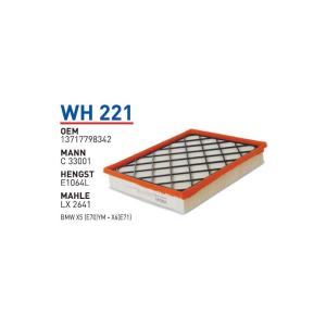 Wh221 Oem 13717798342 BMW X5 (E70)-X6 (E71) Otomobil hava filtre air filter