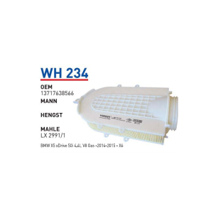 Wh234 Oem13717638566 BMW X5 XDRIVE 50İ 4.4L V8 GAS-2014-2015-X6 Otomobil hava filtre air filter