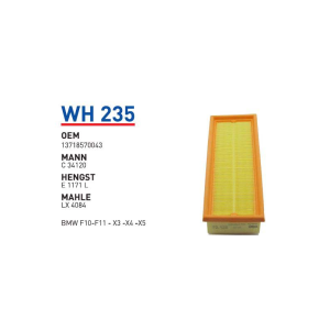 Wh235 Oem 13718570043 BMW F10-F11-X3-X4-X5 Otomobil hava filtre air filter