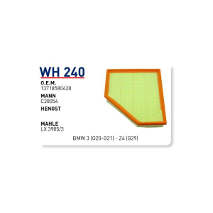 Wh240 Oem 13718580428 BMW 3 (G20-G21)-Z4 (G29) Otomobil hava filtre air filter