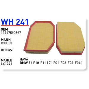 Wh241 Oem 13717590597 BMW 5 (F10-F11) 7 (F01-F02-F03-F04) Otomobil hava filtre air filter