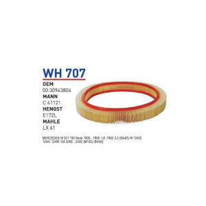 Wh707 Oem 0030943804 Mercedes 124 200 E 201 190 E Otomobil hava filtre air filter