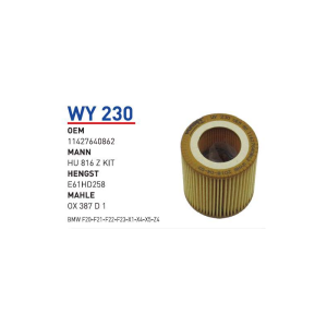 Wy230 Oem 11427640862 BMW F20-F21-F22-F23-X1-X4-X5-Z4 Otomobil yağ filtre oil filter